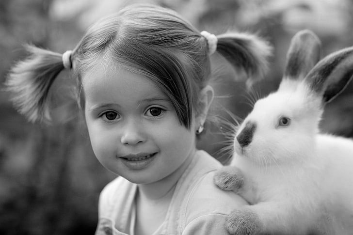 Pet image for afterlife guarantee